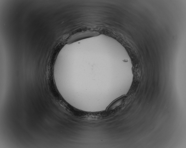 X0000086730756200705111614