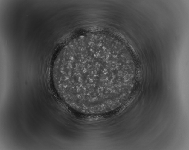 X0000086730757200705111614