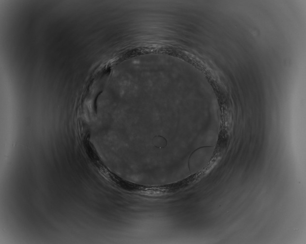 X0000086730758200705111614