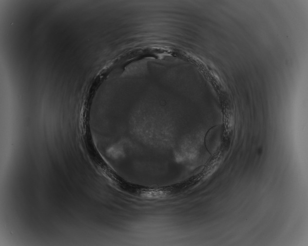 X0000086730759200705111615