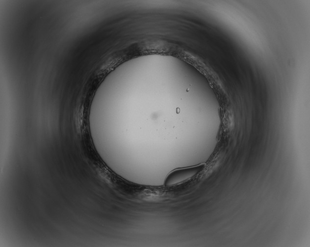 X0000086730764200705111615