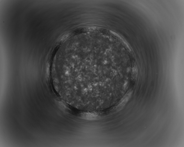 X0000086730765200705111615