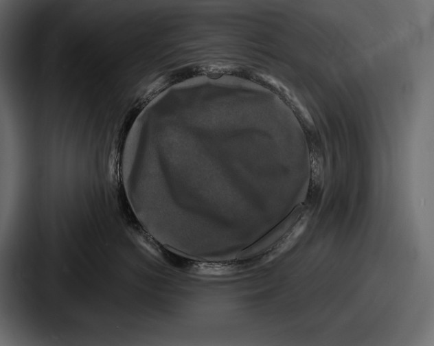 X0000086730766200705111615
