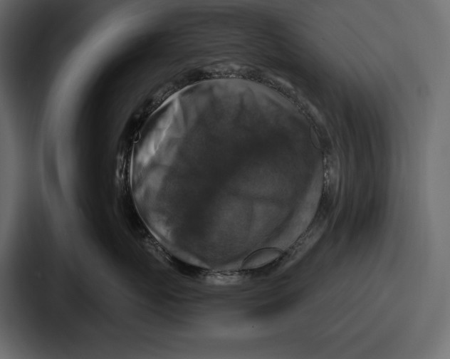 X0000086730767200705111615