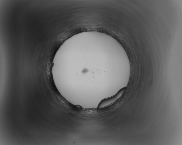 X0000086730768200705111615