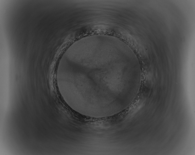 X0000086730769200705111614