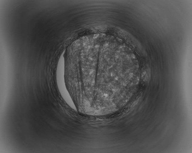 X0000086730772200705111614