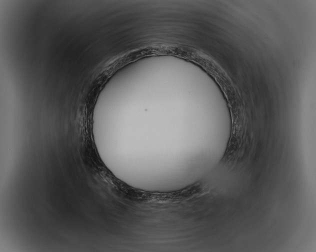 X0000086730773200705111614