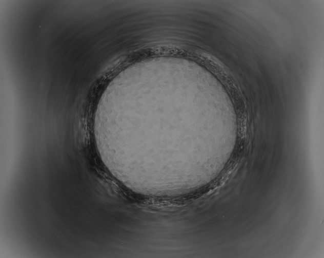 X0000086730774200705111614