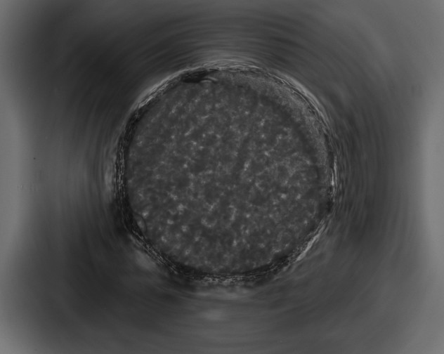 X0000086730775200705111614