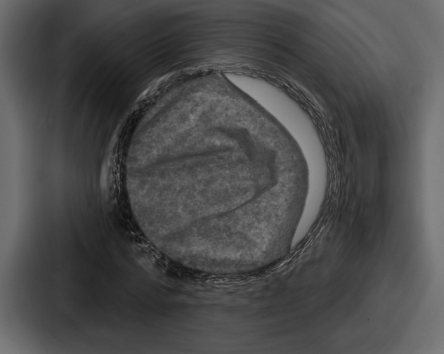 X0000086730776200705111614