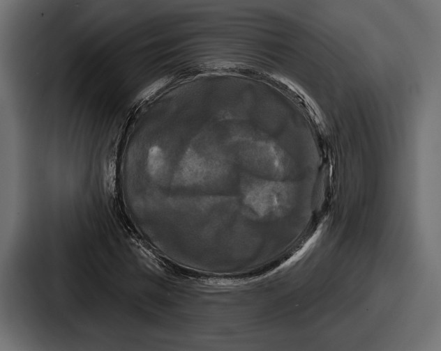 X0000086730777200705111614