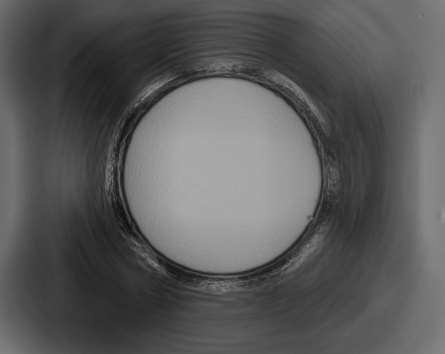 X0000086730778200705111614