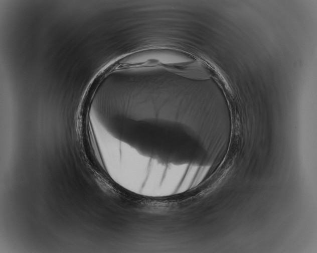X0000086730779200705111614