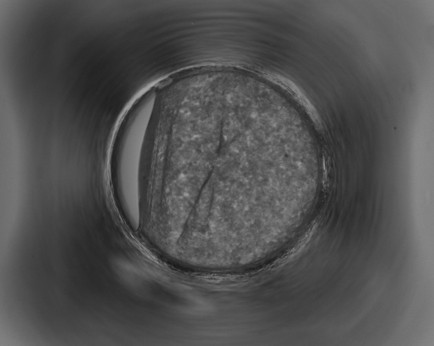 X0000086730780200705111614