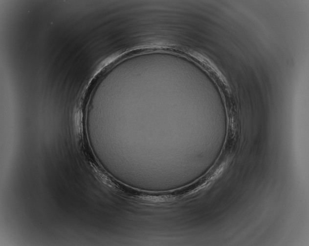 X0000086730781200705111614