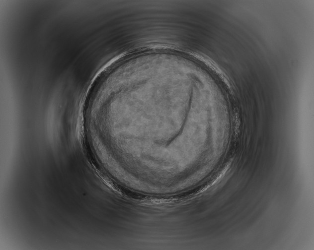 X0000086730782200705111614