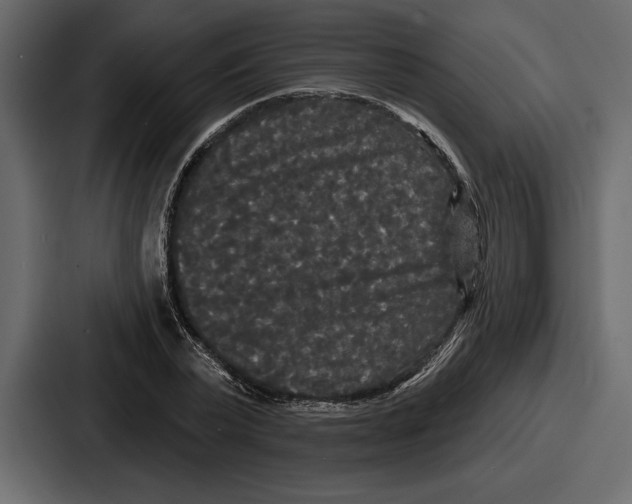 X0000086730783200705111614