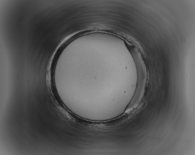 X0000086730784200705111614