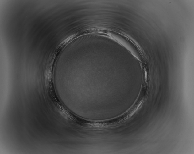 X0000086730785200705111614