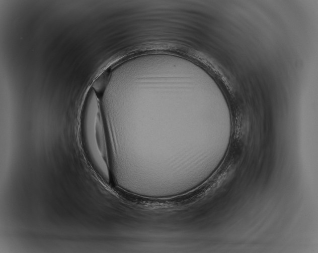 X0000086730786200705111614