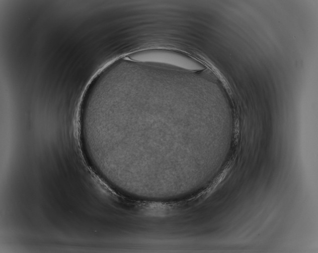 X0000086730787200705111614