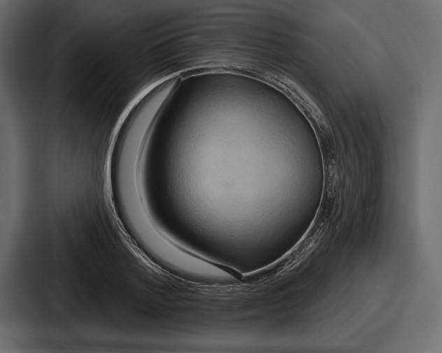 X0000086730788200705111614