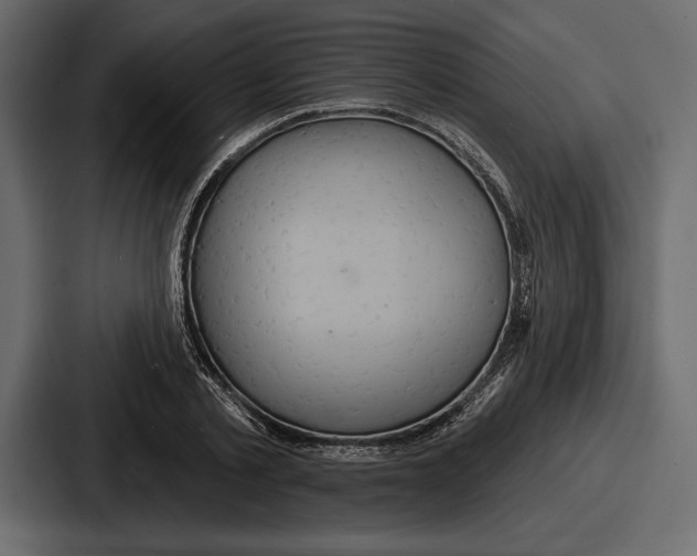 X0000086730789200705111614