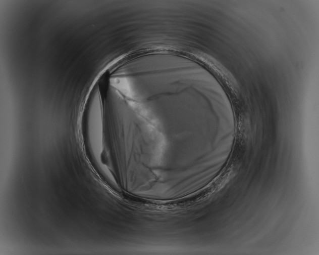 X0000086730790200705111614