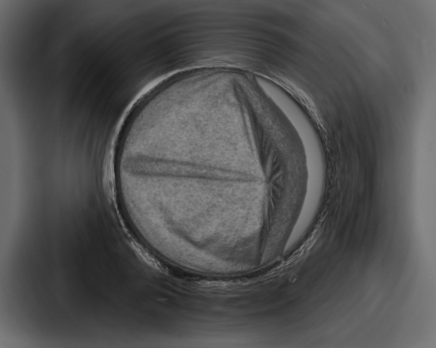 X0000086730792200705111614