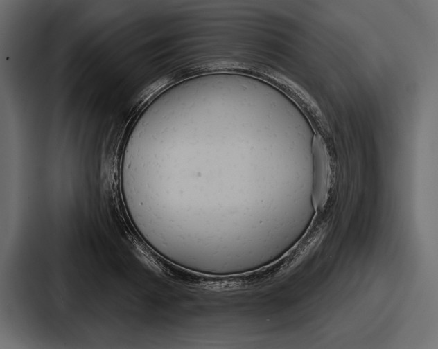 X0000086730793200705111614