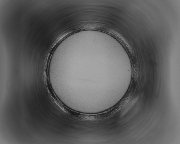 X0000086730794200705111614