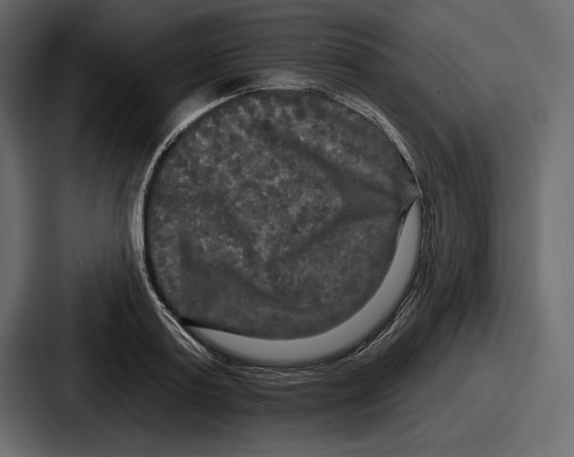 X0000086730795200705111614
