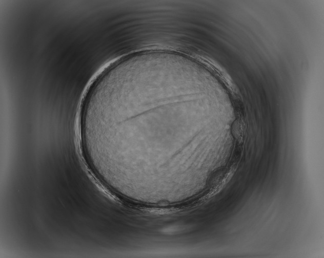X0000086730796200705111614
