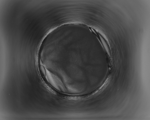 X0000086730797200705111614