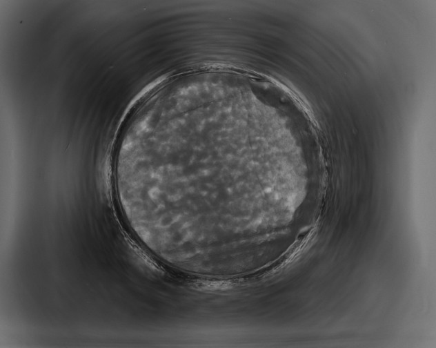 X0000086730798200705111614