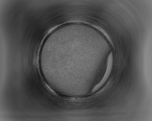 X0000086730799200705111614