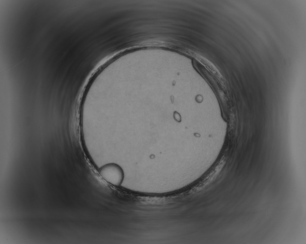 X0000086730800200705111614