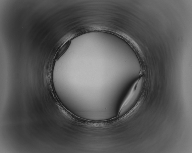 X0000086730801200705111614