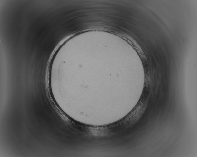 X0000086730804200705111614