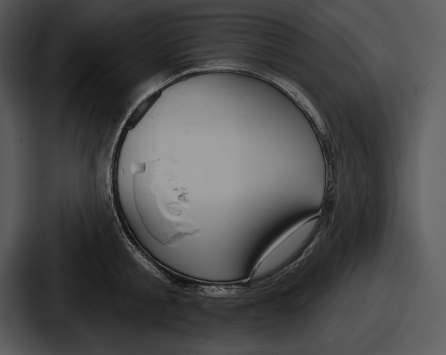 X0000086730805200705111614