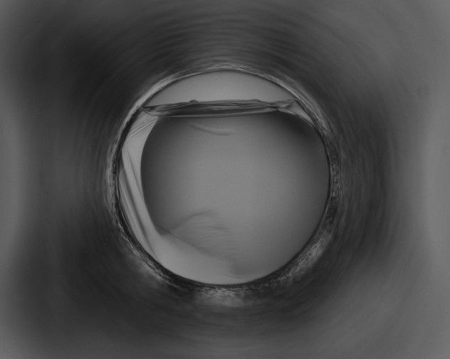 X0000086730806200705111614