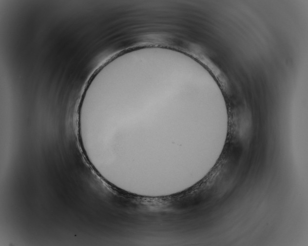 X0000086730807200705111614