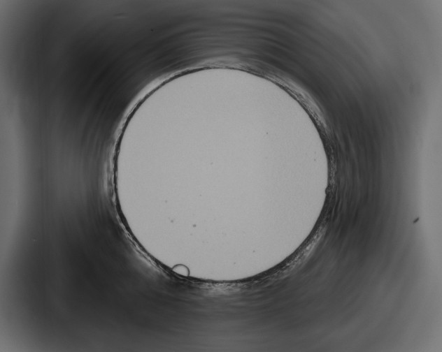X0000086730808200705111613