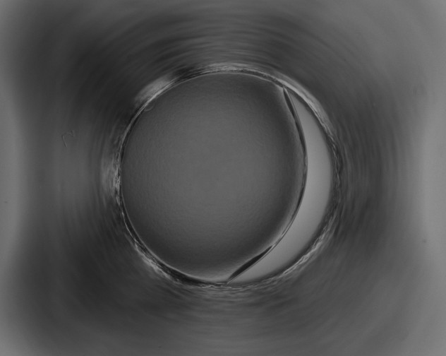 X0000086730809200705111613