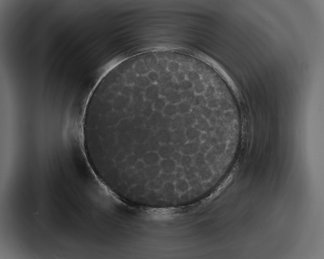 X0000086730810200705111613