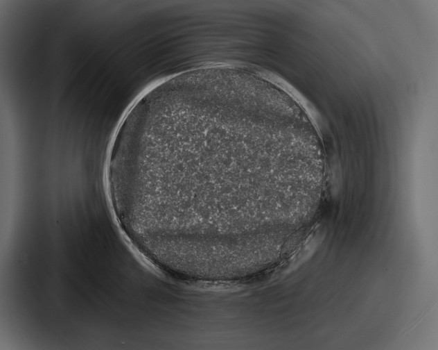 X0000086730811200705111613