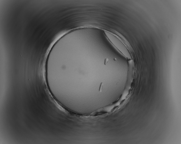 X0000086730812200705111613