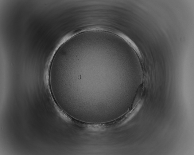 X0000086730813200705111613