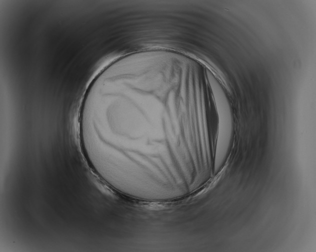 X0000086730814200705111613